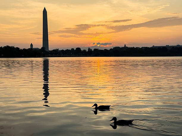 istock Washington Monument and Reflecting Pool at sunrise in Washington DC 2232316269