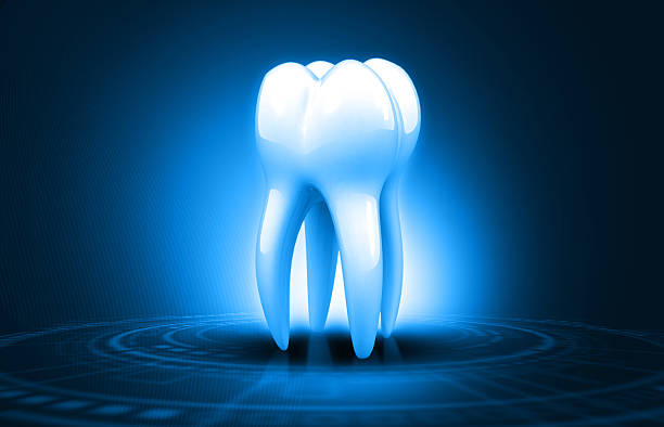 Human tooth anatomy on blue color background. 3d illustration