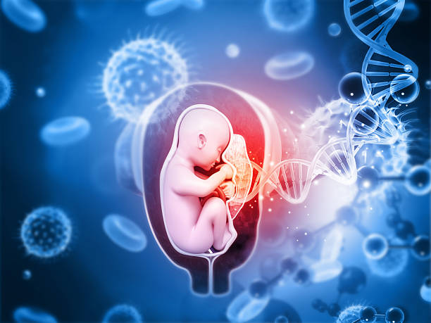 istock Fetus dna on scientific background 2232329316