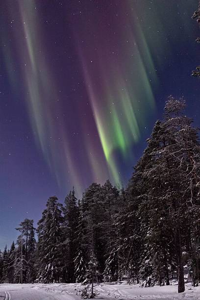 istock Northern lights over snowy forest. 2232330454