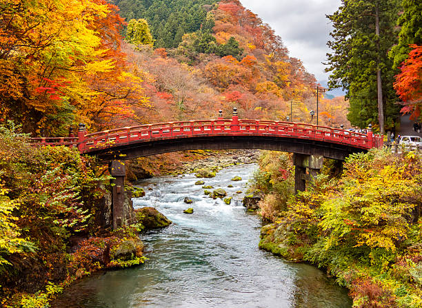 istock Famous Shinkyo bridge in autumn, Nikko, Japan 2232333509