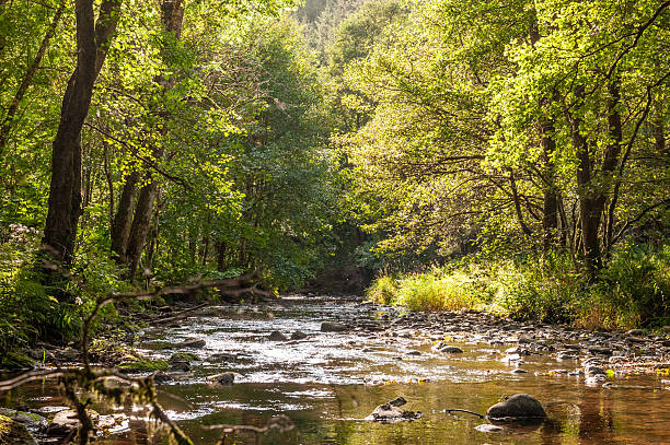 istock Outdoors in the Ardennes 2232334239