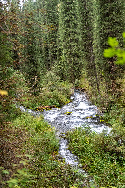 istock A hike around Kolsai lake 2232334343