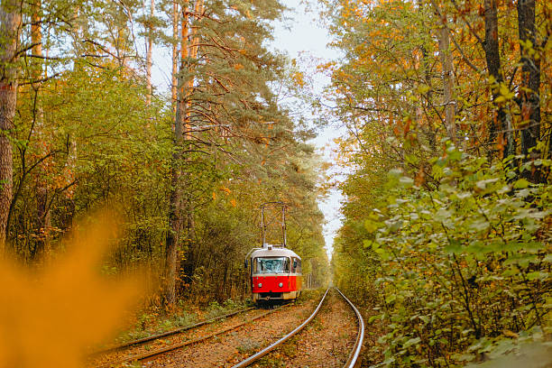 istock Vintage train travels through a serene forest in autumn sunlight 2232334906