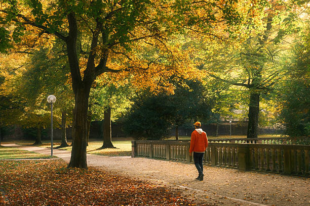 istock Walking in a gorgeous empty park in autumn 2232336134