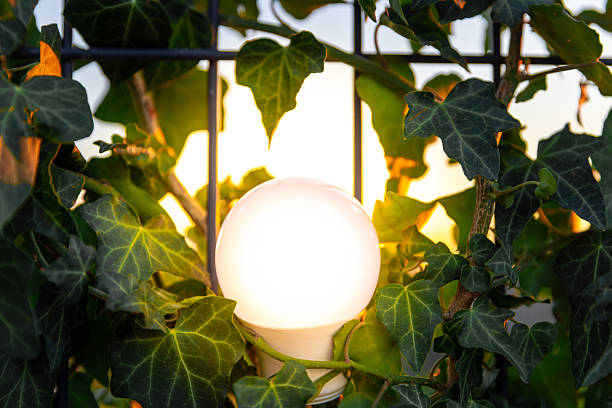 istock Illuminated Light Bulb Among Green Foliage at Sunset 2232336205