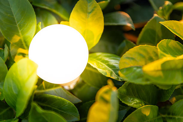 Illuminated bulb surrounded by lush greenery, creating a balance of technology and nature. This composition highlights eco-friendly concepts and renewable energy in a visually harmonious manner.