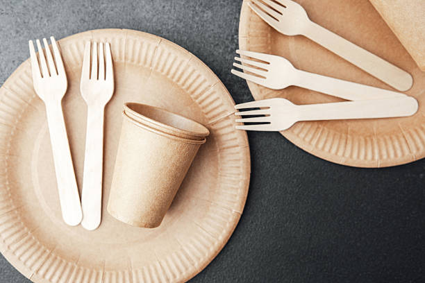 istock Two paper plates with forks and cups flat lay over stone texture background eco set 2232338106