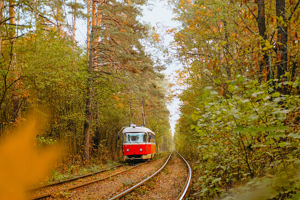 istock Tram travels through lush forest path in autumn setting 2232338585