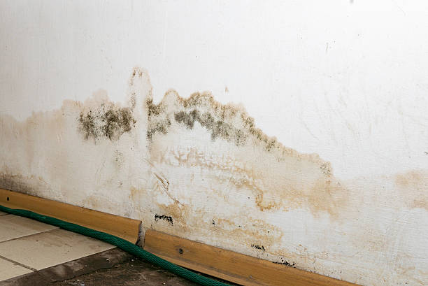 istock Flooding rainwater or floor heating systems, causing damage, peeling paint and mildew. 2232339398