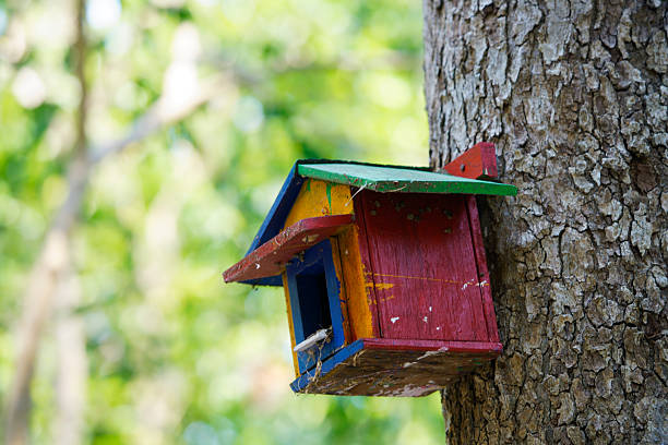 istock Colorful Birdhouse Hanging on Tree in Vibrant Natural Setting 2232339515