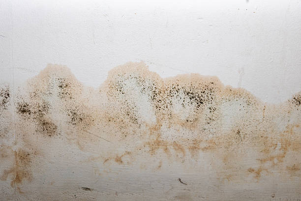 istock Flooding rainwater or floor heating systems, causing damage, peeling paint and mildew. 2232339577