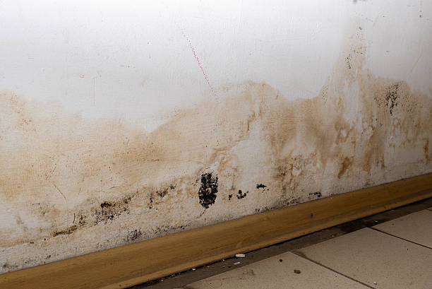 istock Flooding rainwater or floor heating systems, causing damage, peeling paint and mildew. 2232339655
