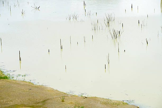 istock Calm Water Surface with Sticks and Reflections in a Natural Setting 2232339665