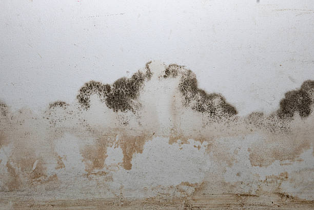 istock Flooding rainwater or floor heating systems, causing damage, peeling paint and mildew. 2232339805