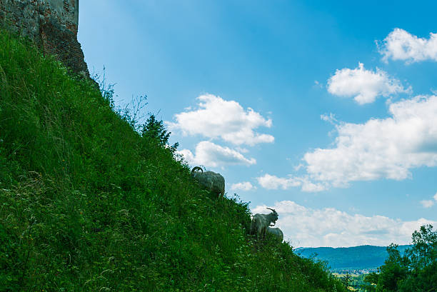 A large flock of sheep on a grass field by a mountain range