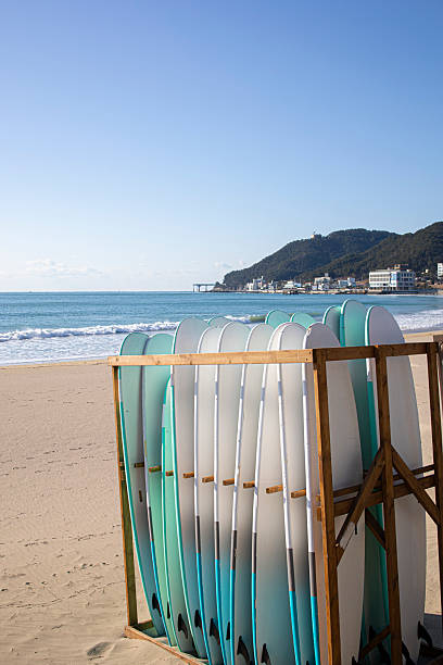 istock Set of surf boards in a stack on sandy beach for rent. 2232350758