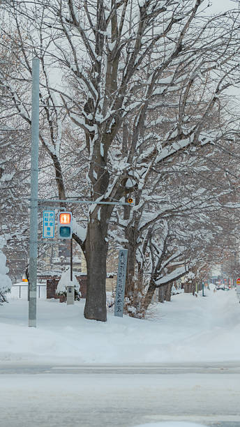 istock Snow Covered Street 2232355723