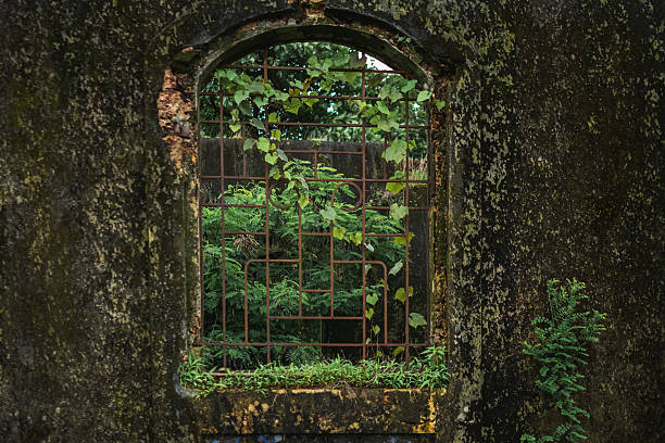 Arched window frame in an abandoned Stone House With Overgrown plants and moss. Abandoned building.