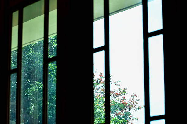 istock View from window with tree scene. Garden through the window. Window overlooking the trees. 2232360868