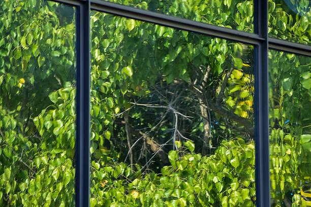 istock View from window with tree scene. Garden through the window. Window overlooking the trees. 2232361376
