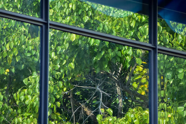 istock View from window with tree scene. Garden through the window. Window overlooking the trees. 2232361523