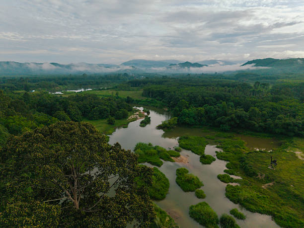 istock Aerial view river in tropical rainforest gree tree montain 2232363725