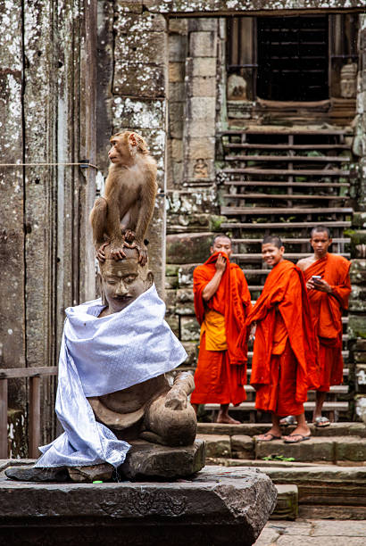 Cambodian monk in an orange robe sits on the ancient steps of a temple ruin and reads a book in a quiet moment, Siem Reap, Cambodia, Asia