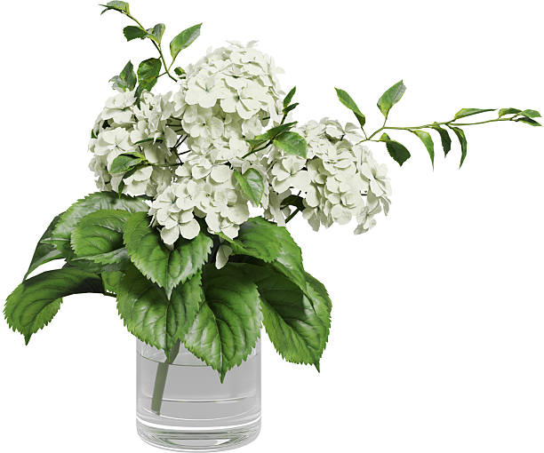 istock Perspective view of flower arrangement - Hydrangea 2232367881