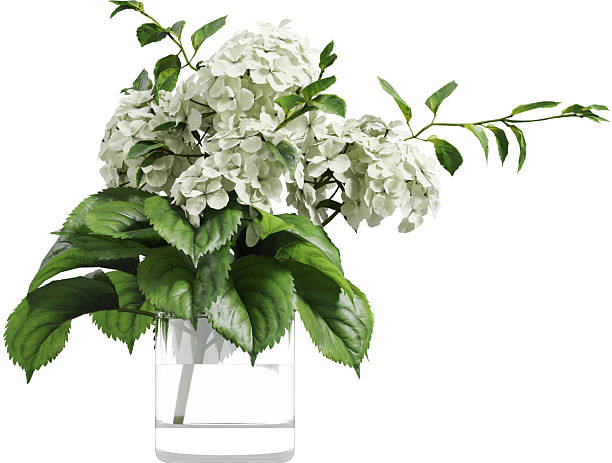 istock Side view of flower arrangement - Hydrangea 2232367885