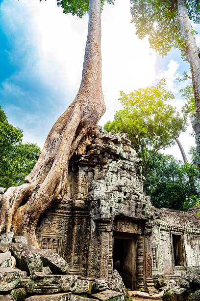 istock Ancient Ruins of Ta Prohm Temple with Tree Growing Through the Structure 2232369390