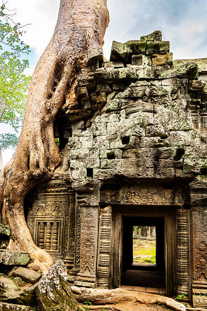 istock Ancient Ruins of Ta Prohm Temple with Tree Growing Through the Structure 2232369639