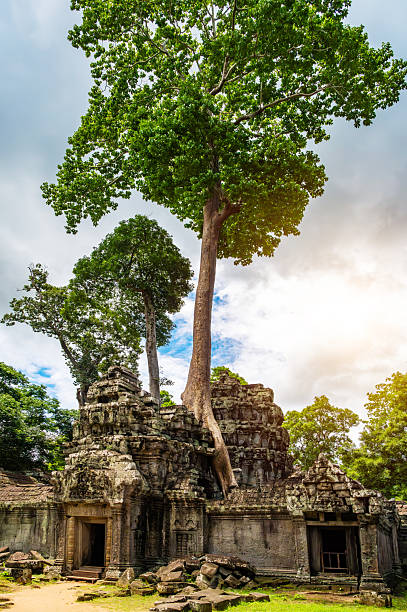 Temple Siem Reap Cambodia, Ancient Angkor. UNESCO  World Heritage Site of Angkor Thom, Siem Reap, Cambodia.