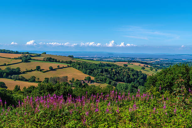 istock Quantock Hills view to Hinkley Point with pink wild flowers 2232371344