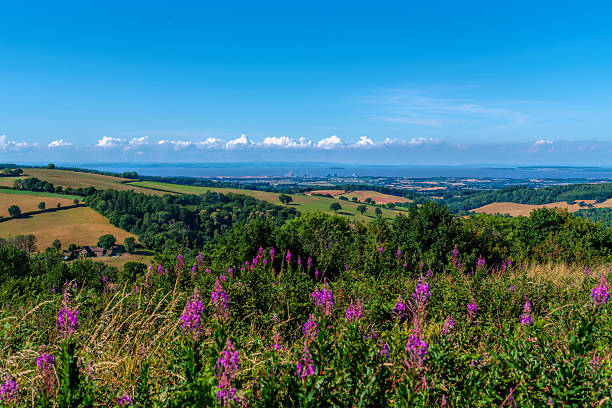 istock Quantock Hills view to Hinkley Point with pink wild flowers 2232371345