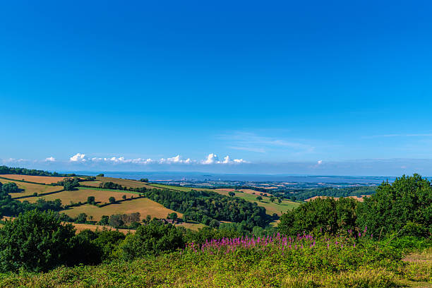 istock Quantock Hills view to Hinkley Point with pink wild flowers 2232371369
