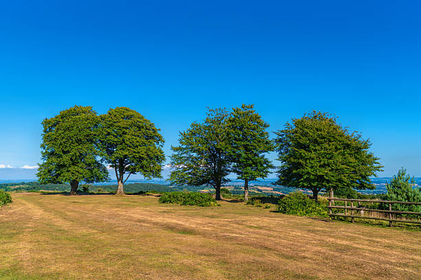 Somerset view England UK countryside Quantock Hills