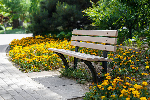 Beautiful bench in the park. Flower bed