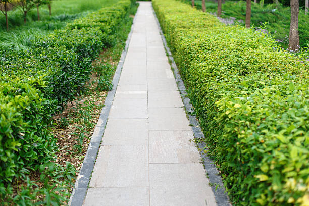 Straight  track in the park