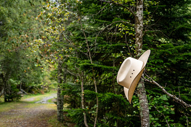 An off-white cowboy hat resting on a tree branch in the middle of a forest. A path can be seen on the left side. The image is dominated by green tones with some autumnal ochres