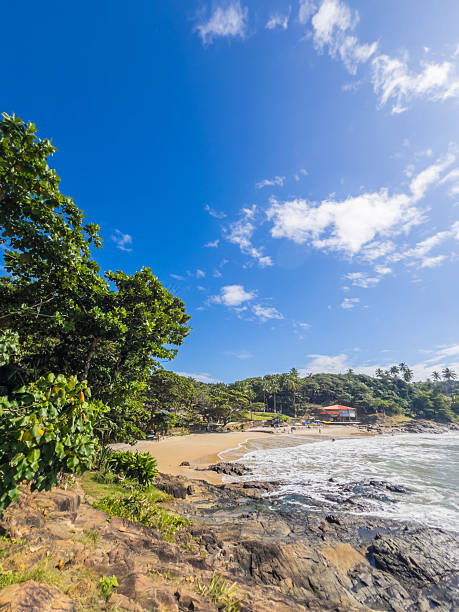 istock Tropical Beach and Rocky Shoreline under Bright Sun and Blue Sky 2232376288