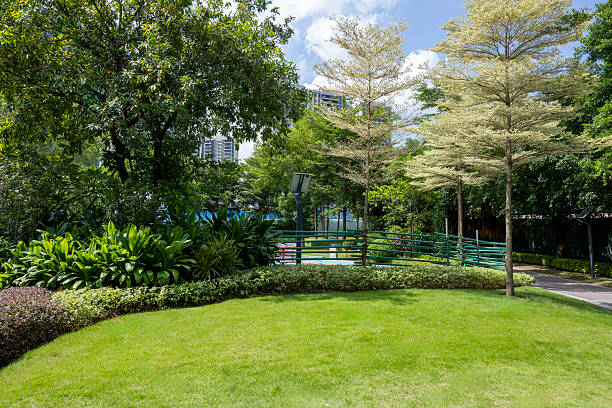 istock Urban Park Scene with Modern Buildings and Greenery 2232376785