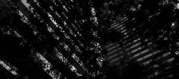 MAGNIFICENT MODERN BUILDING IN MONOCHROM MODE, SURROUNDED BY LUSH TREES IN TORONTO, CANADA