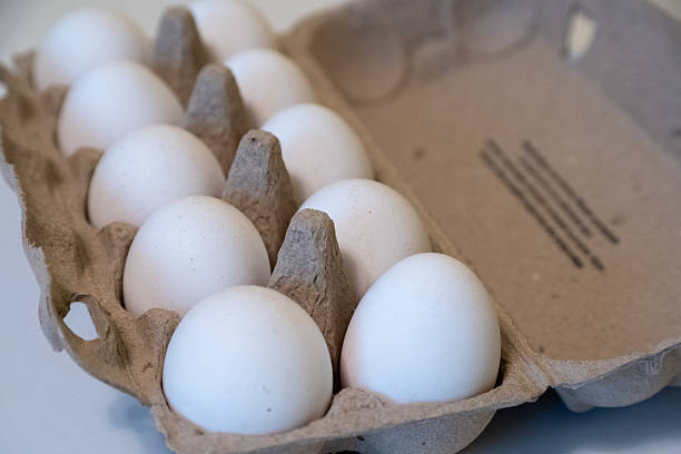 istock Fresh White Eggs in Cardboard Carton Pack 2232380184