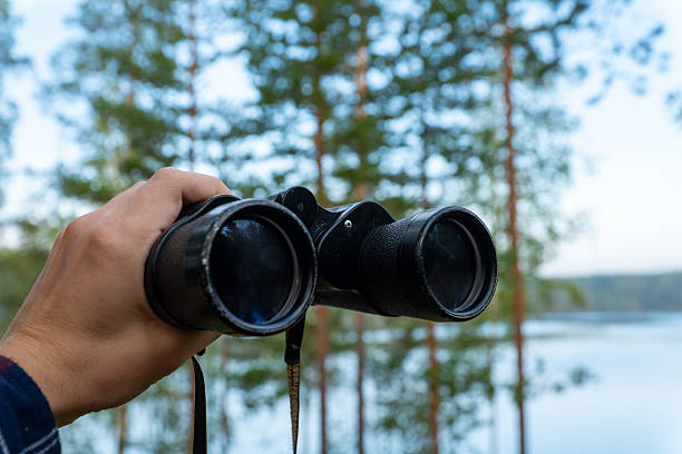 istock Using Binoculars to Observe Nature in the Forest 2232380245
