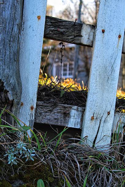 istock wooden fence 2232383987
