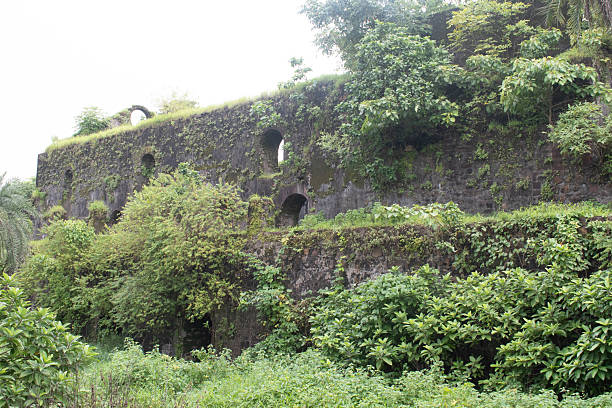 istock bassein fort or vasai fort ruins covered with green vegetation 2232388803