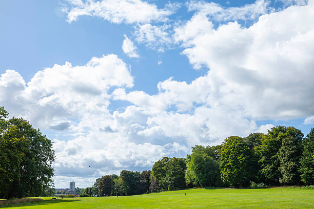 istock Old trees in Jenischpark, Hamburg 2232388863