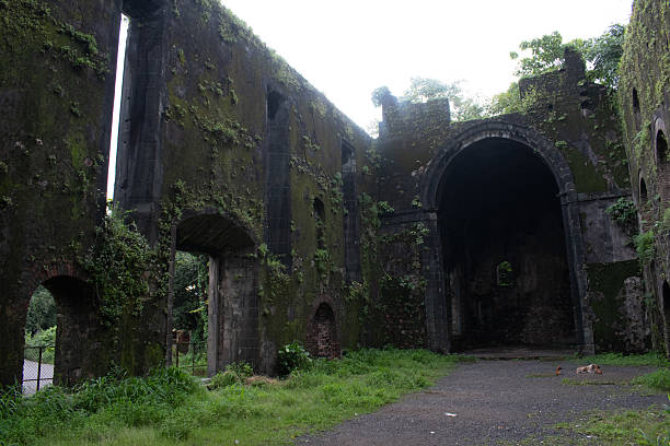 istock ancient moss-covered stone ruins of 