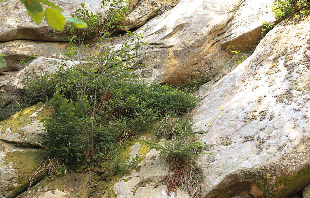 istock Large stone blocks form a rocky slope covered with green plants and moss. Sunlight illuminates the texture of the stone, creating a detailed natural background. 2232389903